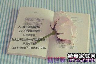摘抄颜色优美词句100字