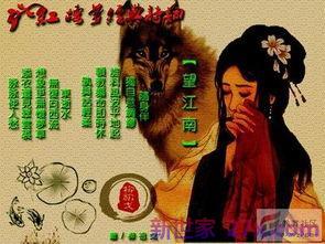 红楼梦的精彩词句摘抄