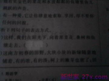概念的表达形式句子