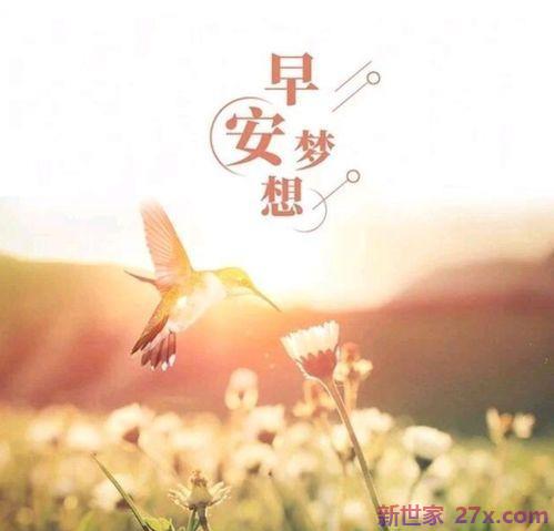生活简单而又开心词句 简单快乐的句子短句