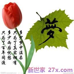 描写植物的词句瑞文网 描写植物的好词好句好段