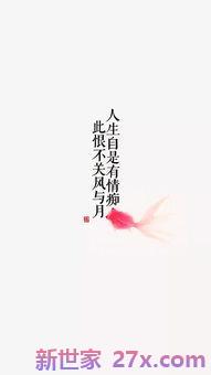 带情字的诗词句子