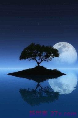 表达晚上想念她的句子 夜晚想你的句子