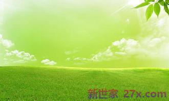 描写春天美景的古诗词句