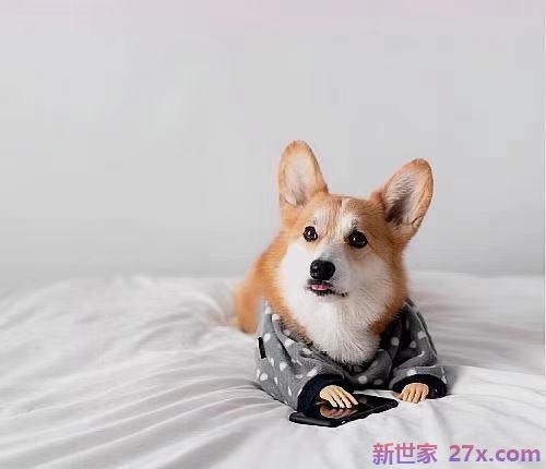 聪明女人这样发朋友圈（女人精致自律生活句子）