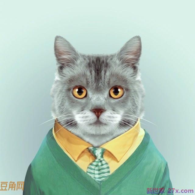 早安小短句 暖心(早安朋友圈说说正能量)