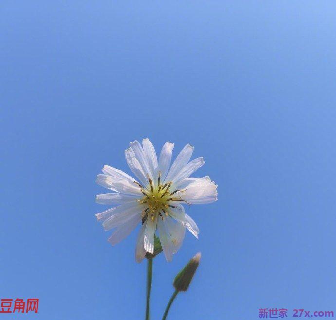 一句话就征服你的经典说说大全 关于征服的经典语录