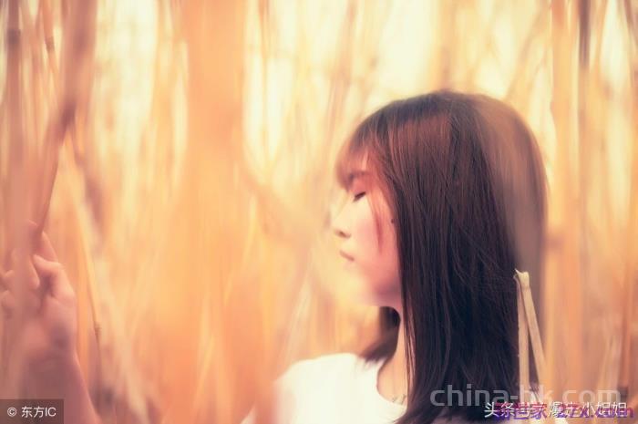 属兔男人会爱上的女人(十二生肖男最爱什么样的女人)