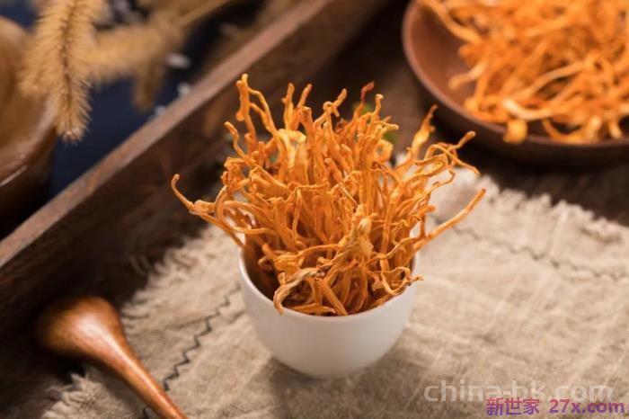 女人吃虫草花有好处吗(虫草花不仅煲汤美味)