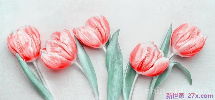 一个男人十天不联系你(男人多久会移情别恋)