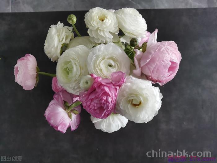 婚后彼此应该有小秘密吗(夫妻间该不该有秘密)