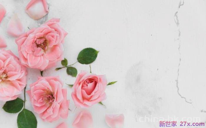 写给自己老婆的心里话(老公写给老婆的心里话)