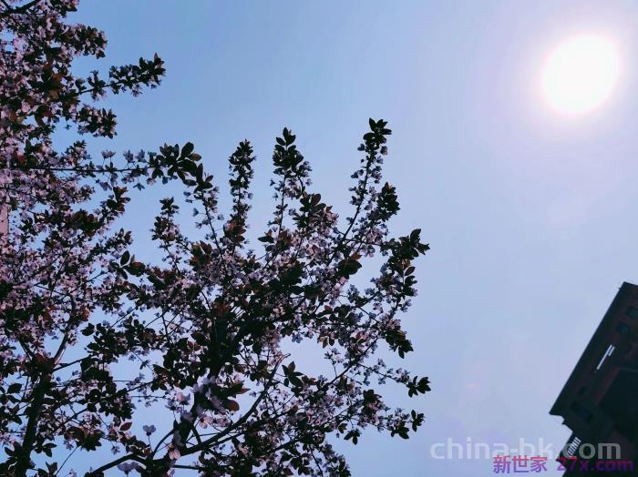 夫妻相处很累怎么办(夫妻相处感觉太累了)