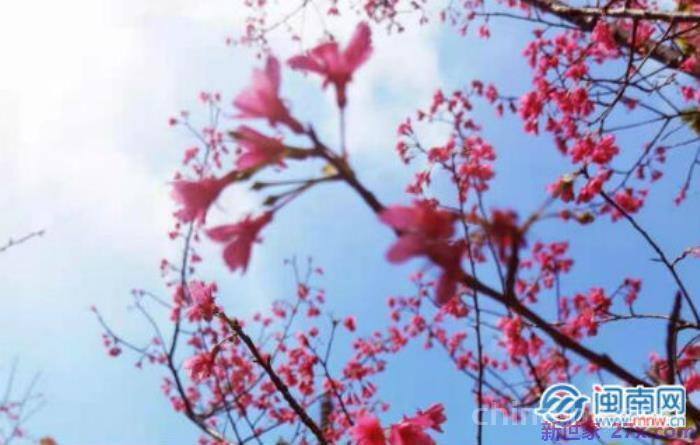 脱单了怎么公开（脱单了怎么发朋友圈）