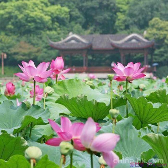 娶二婚女人的男人特点（为什么男人愿意娶二婚女人）