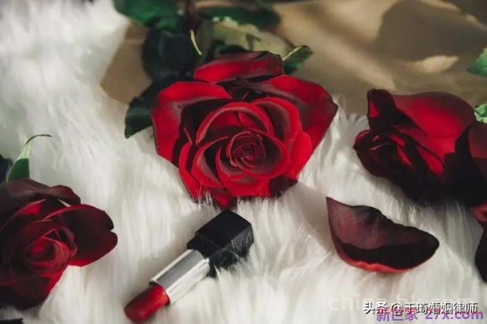 男人出轨认错书(老公出轨我不想离婚)