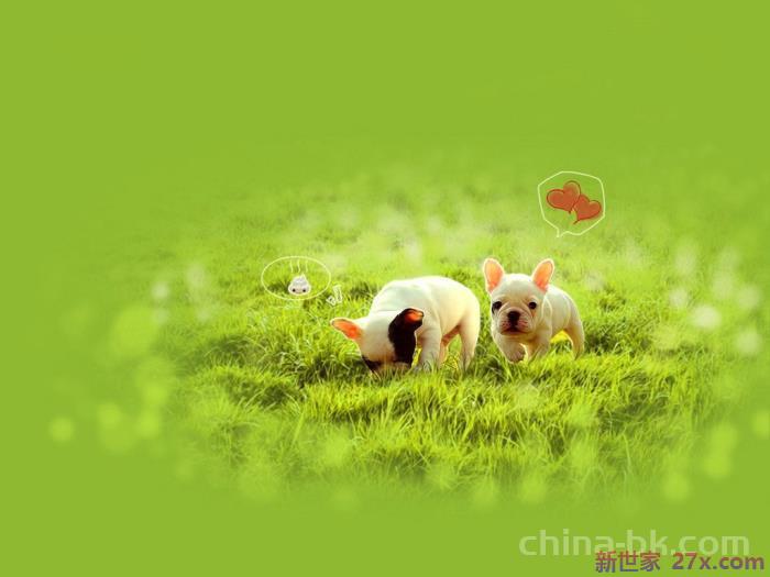 如何放弃不该爱的人(忘掉一个不该爱的人)