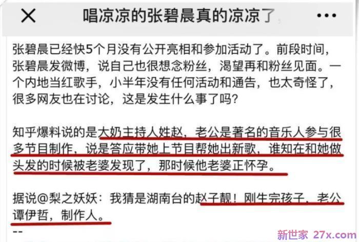 张碧晨的老公(此前曾传张碧晨插足她的婚姻)