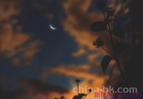 欢迎回家的温馨句子 表示欢迎回家的唯美句子