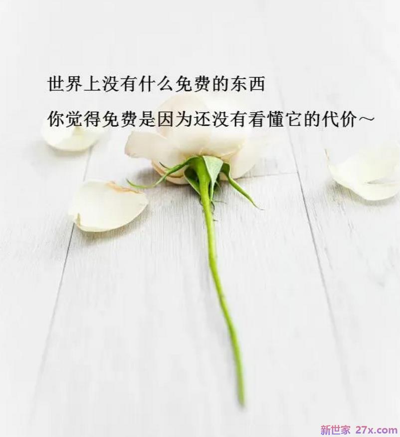 适合各种心情的句子 人生感悟,适合发朋友圈的精美心情短句
